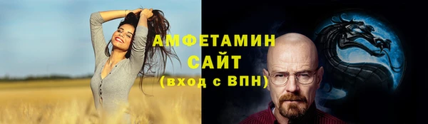 стаф Алзамай