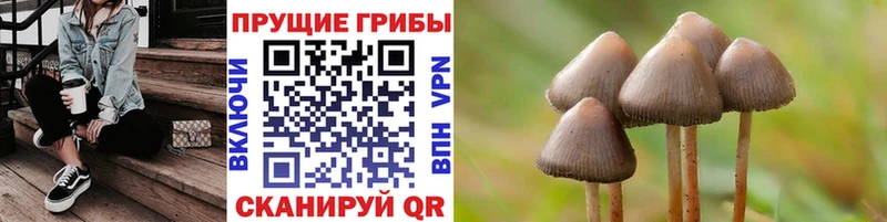 Галлюциногенные грибы Psilocybine cubensis  Соликамск 